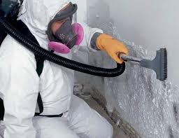 Best Forensic Mold Investigation in San Augustine, TX